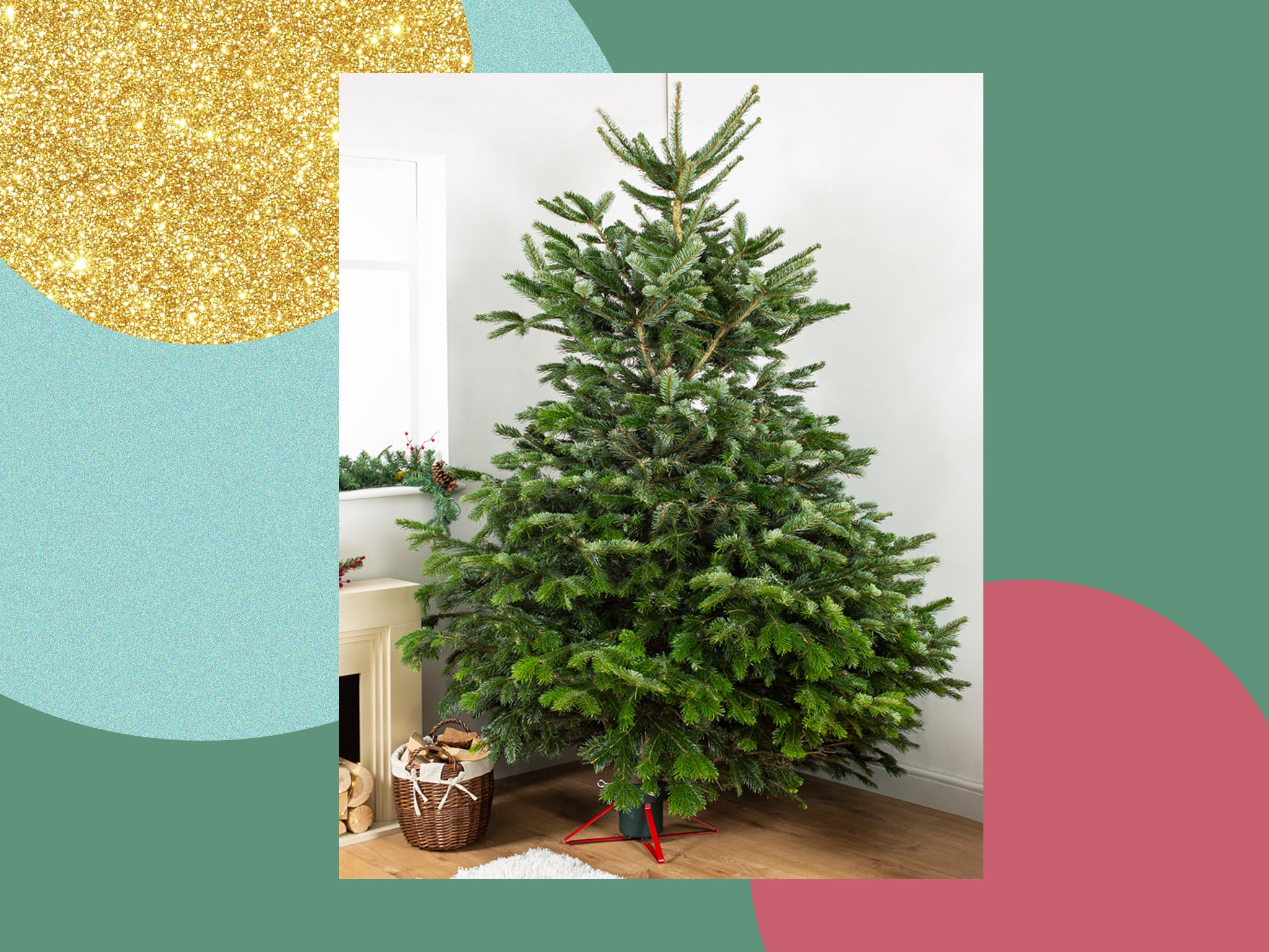 Stand for deals live christmas tree